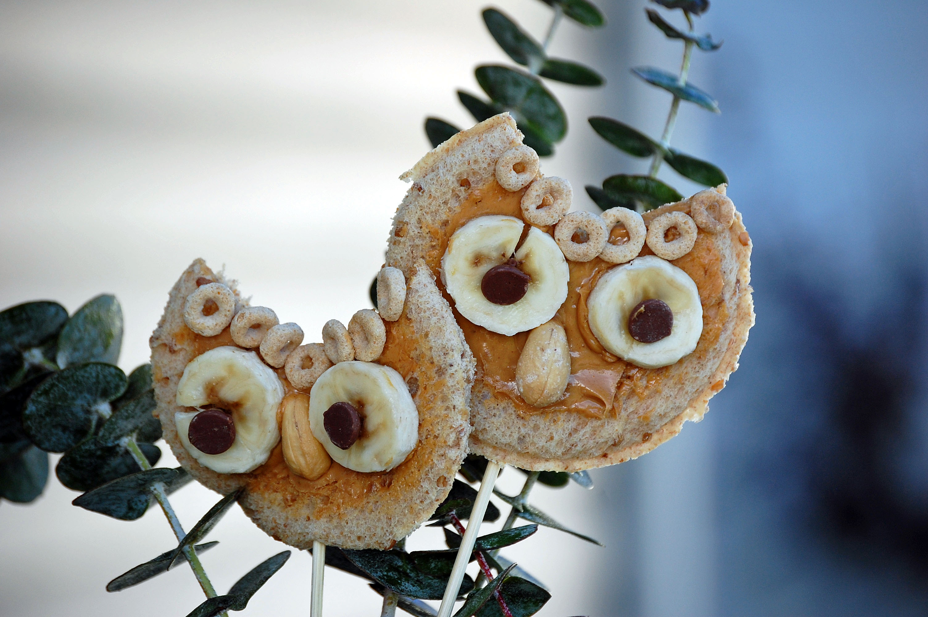 Hoot Hoot A Healthy Snack fit for your little Owls Healthy Ideas for