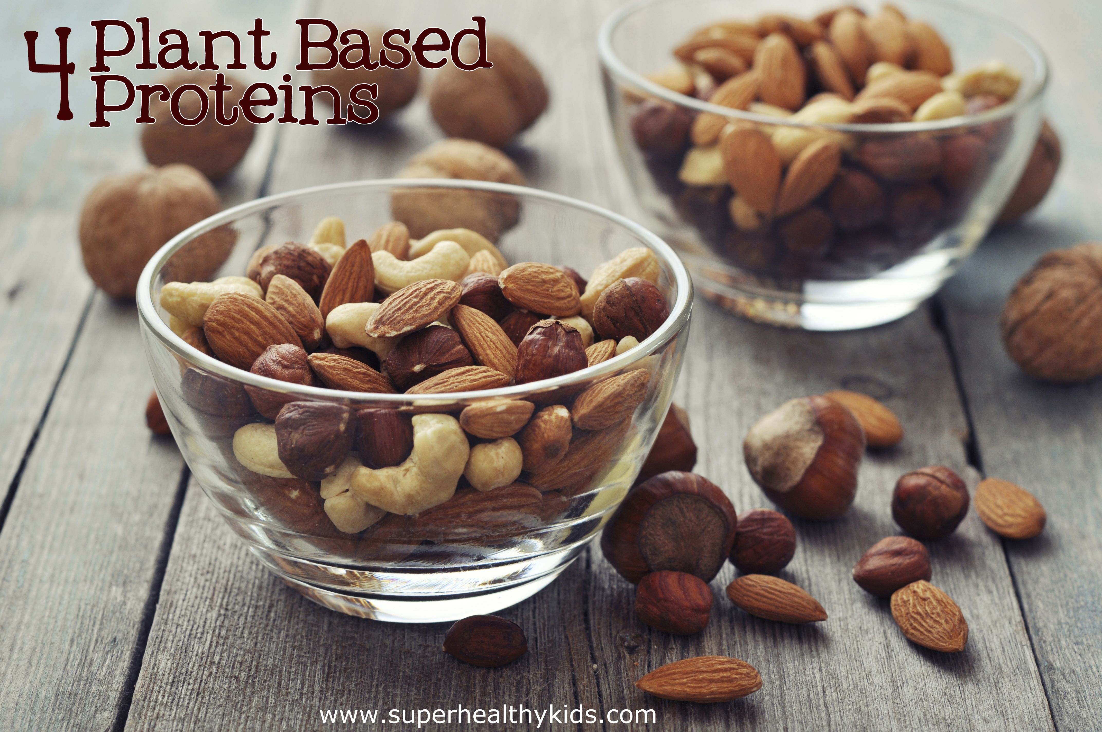 4 Plant Proteins for Heart Health Healthy Ideas for Kids