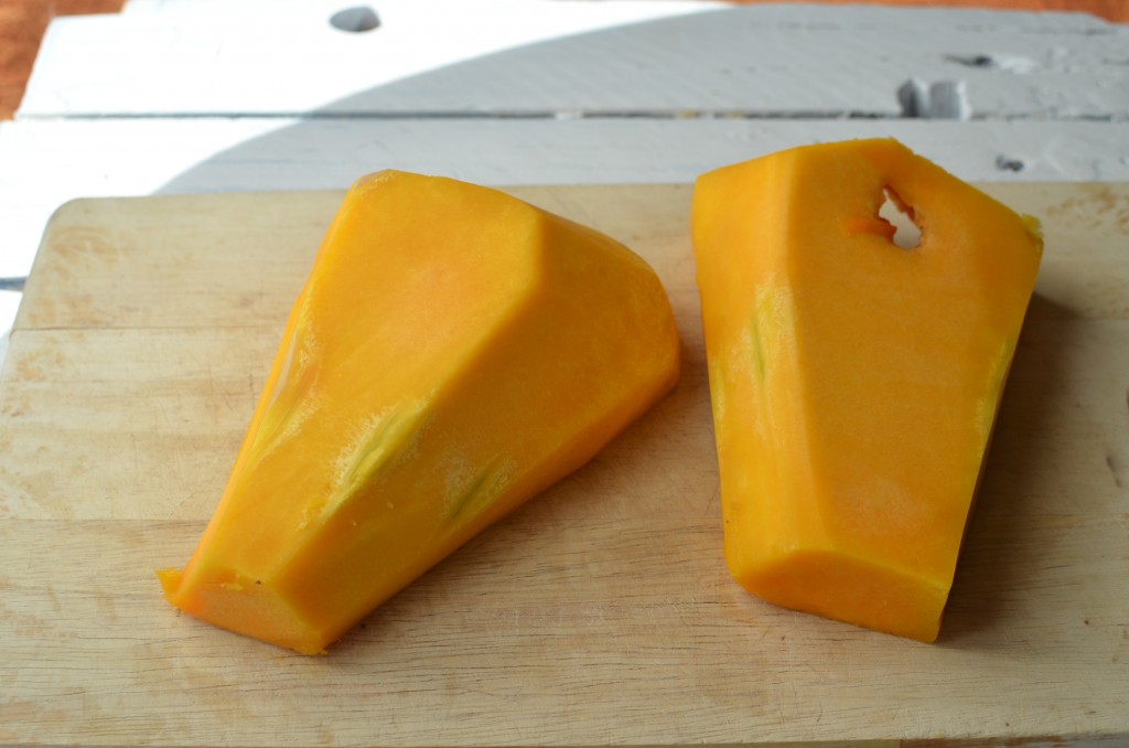 Sweet and Salty Butternut Squash French Fries Recipe Sweet and Salty Butternut Squash French Fries Recipe. Crispy and delicious way to eat squash.