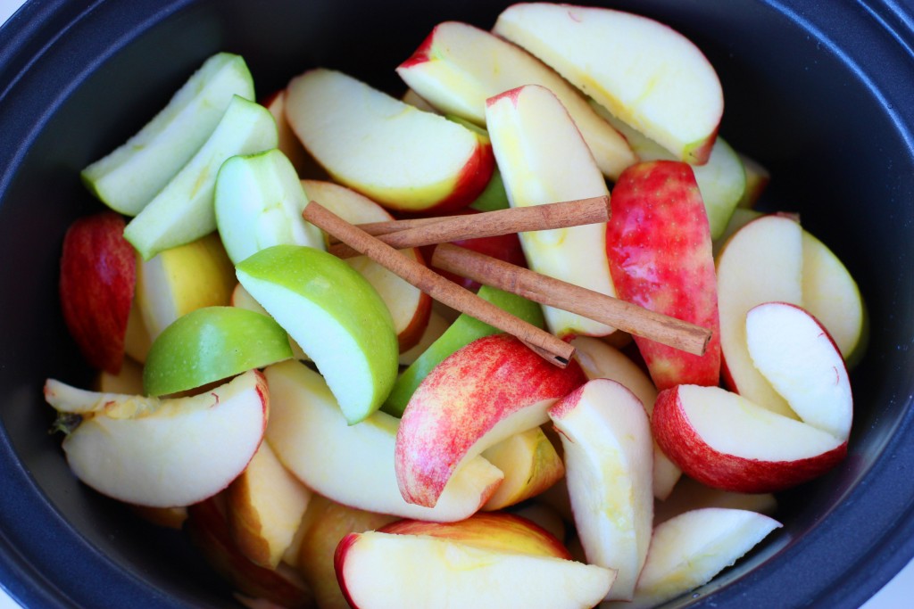 Slow Cooker Budget Friendly Applesauce Pouches Slow Cooker Budget Friendly Applesauce Pouches. Homemade, budget-friendly applesauce that is better than the store-bought stuff!
