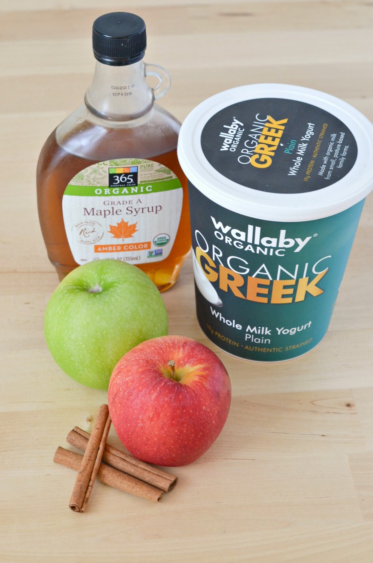 Apples with Maple Cinnamon Greek Yogurt Dip Healthy Ideas for Kids