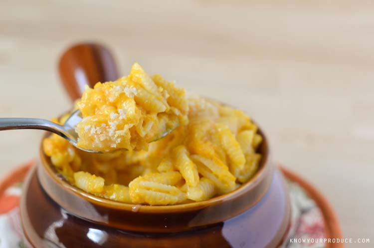 Baked Butternut Squash Macaroni and Cheese Baked Butternut Squash Macaroni and Cheese! Creamy and delicious macaroni and cheese without butter, milk and tons of cheese!