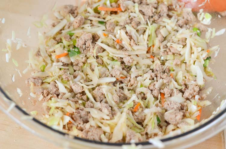Pork and Vegetable Deconstructed Pot Stickers Pork and Vegetable Deconstructed Pot Stickers - Pot Stickers and Dumplings Recipe