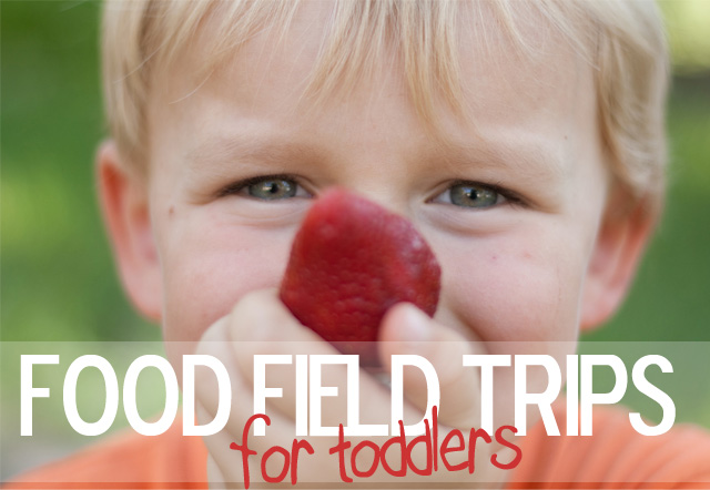 Food Field Trips for Toddlers & Preschoolers Fun Ideas for Food Field Trips for Toddlers & Preschoolers! www.superhealthykids.com