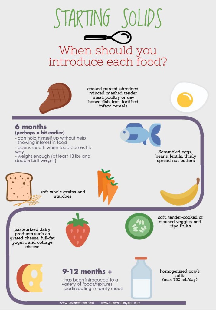 Starting Solids Basics What Parents Need to Know