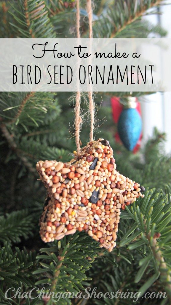 25 Creative Non-Treat Neighbor Christmas Gifts Birdseed ornament