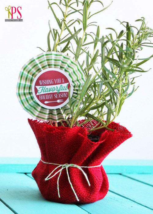 25 Creative Non-Treat Neighbor Christmas Gifts Potted herb