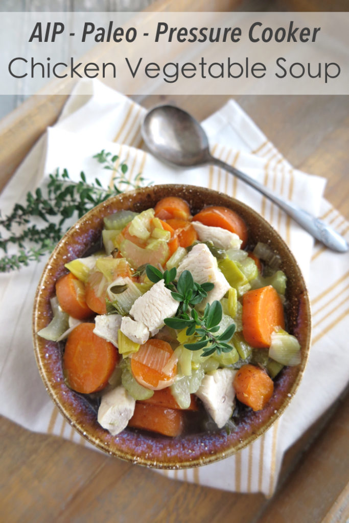Chicken Vegetable Soup 30 Amazing Instant Pot Recipes. The Instant Pot is the new kitchen super hero, and teamed up with the recipes from our round up, its powers are practically boundless.