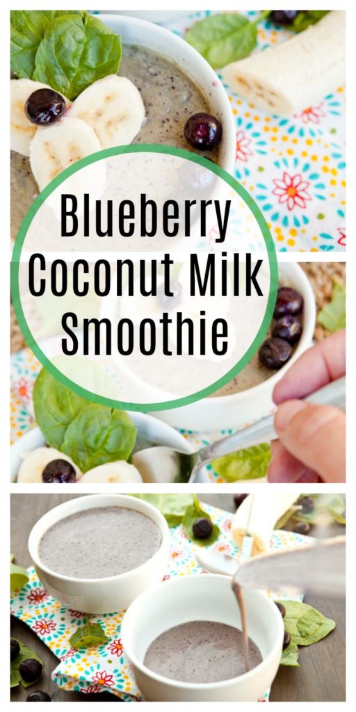 Blueberry Coconut Milk Smoothie
