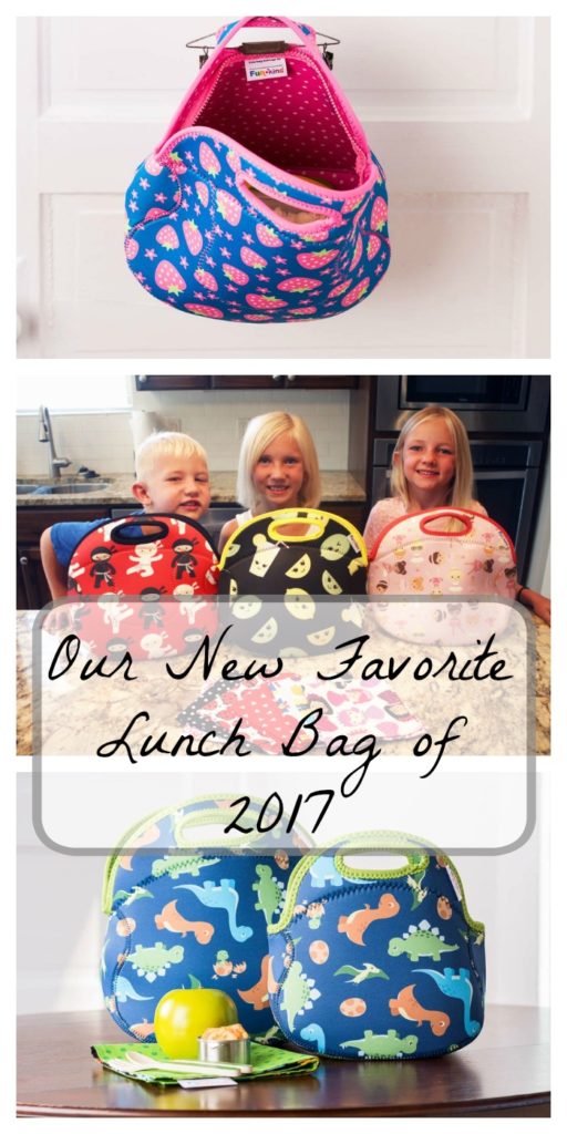 Our New Favorite Lunch Bag of 2017