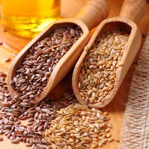 Flax Seeds