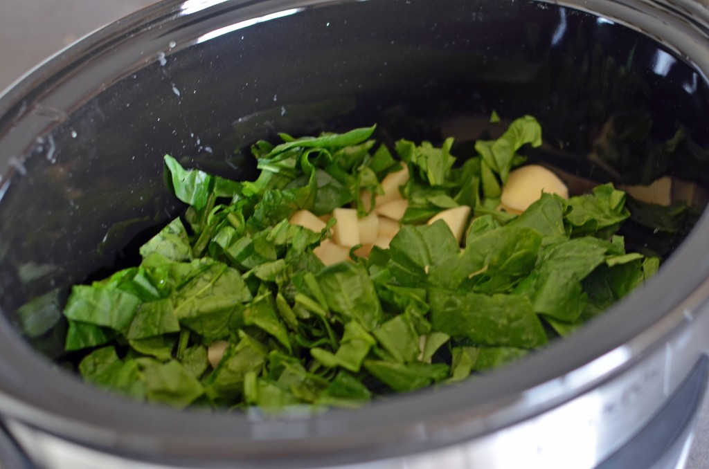 Crockpot Creamy Chicken Spinach Soup Recipe  Healthy 