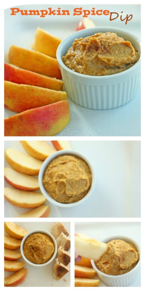 Pumpkin Spice Dip Recipe