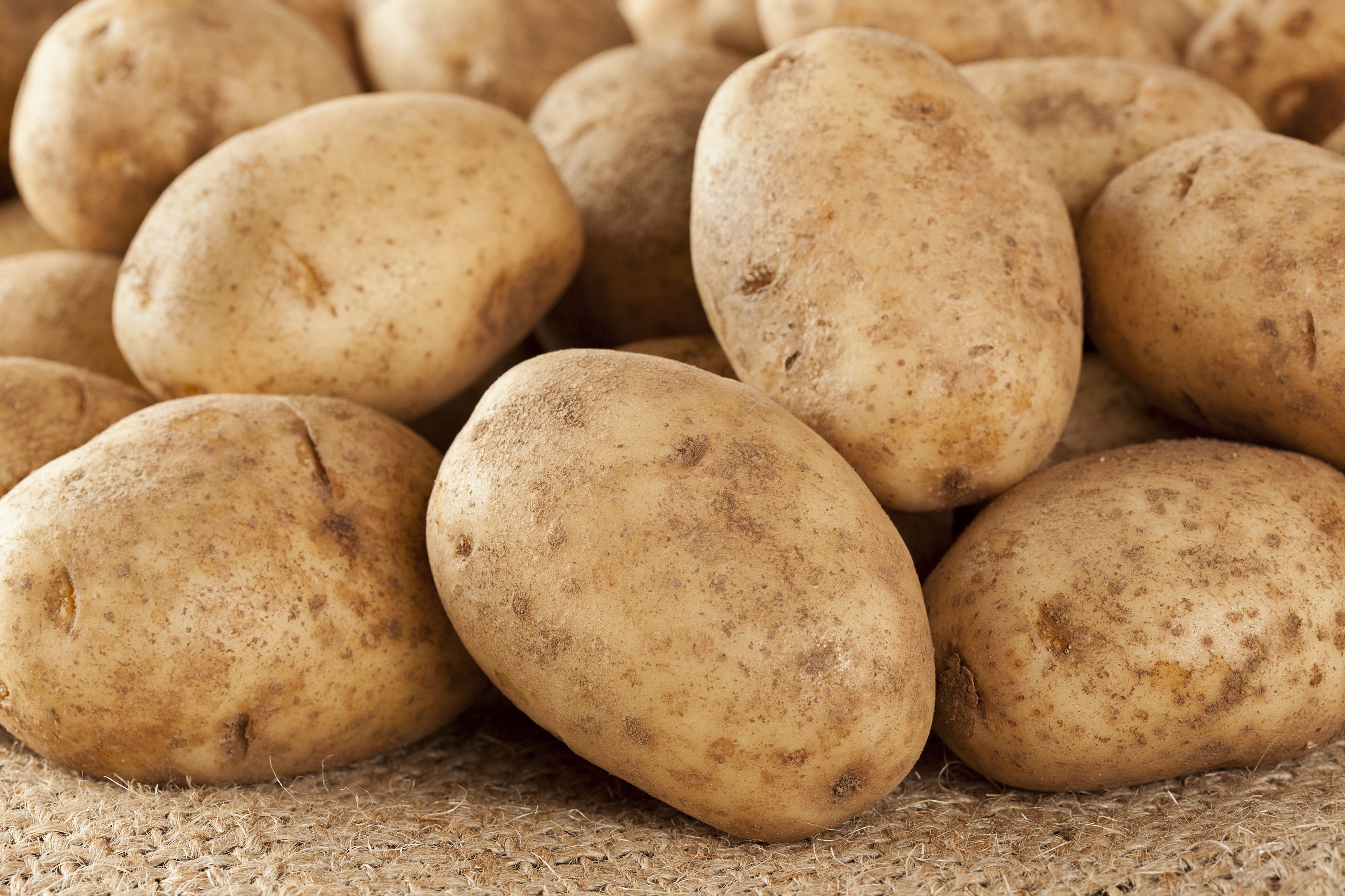 Russet potatoes for homemade french fries recipe