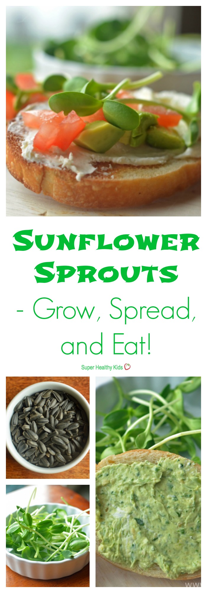 GARDENING - Sunflower Sprouts- Grow, Spread, and Eat! A comprehensive guide to sunflower sprouts. http://www.superhealthykids.com/sunflower-sprouts-grow-spread-and-eat/ GARDENING - Sunflower Sprouts- Grow, Spread, and Eat! A comprehensive guide to sunflower sprouts. http://www.superhealthykids.com/sunflower-sprouts-grow-spread-and-eat/