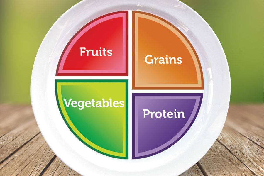 MyPlate Adult and Teen Plate | Super Healthy Kids