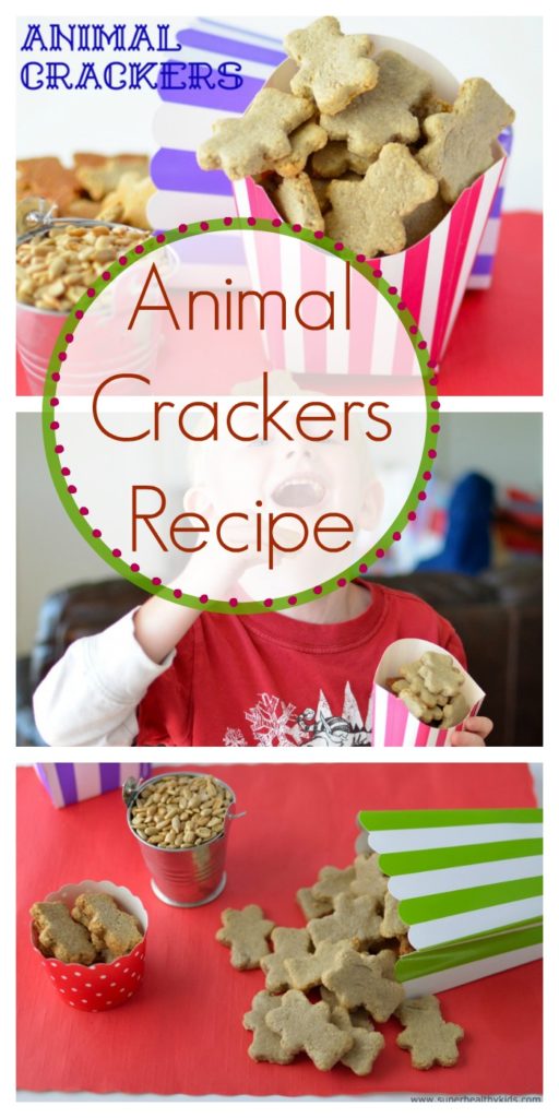 Animal Crackers Recipe {Nut Free, Dairy Free, Gluten Free} Healthy