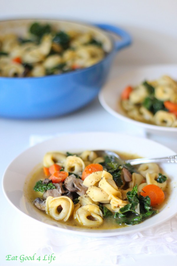 12 Veggie Packed Soups for the Picky Eater 12 Veggie Packed Soups for the Picky Eater. 12 Soups that are packed with veggies. Even your pickiest eater will find one they like.
