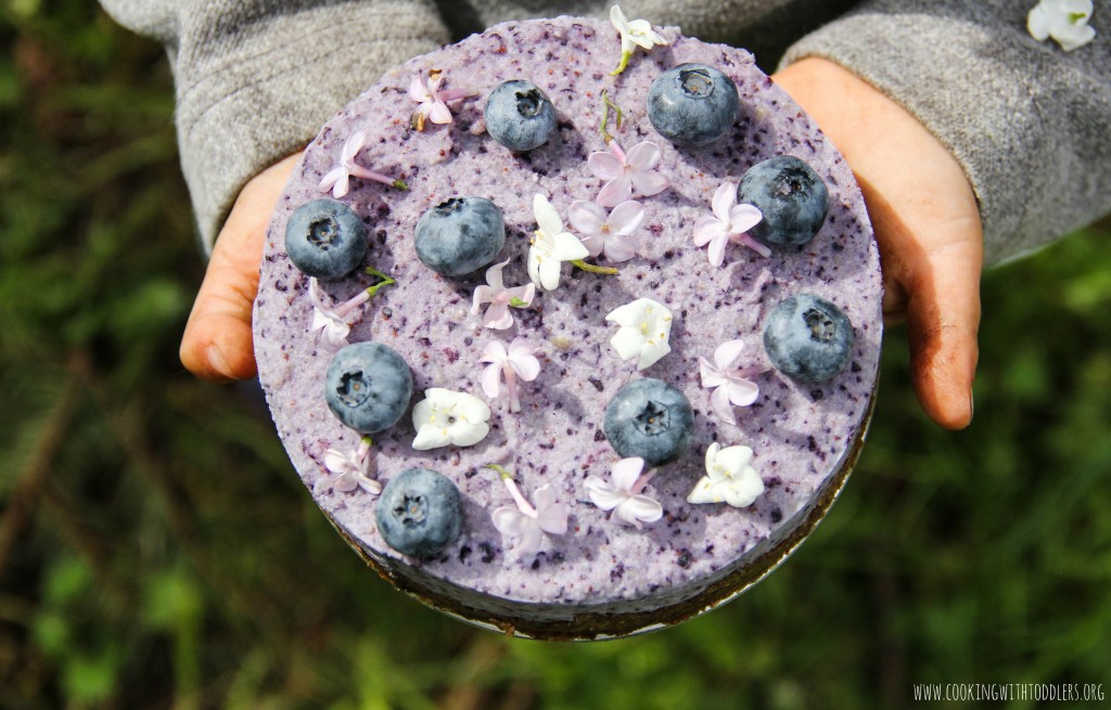 Blueberry Chia Seed Cashew Cake Recipe Blueberry Chia Seed Cashew Cake Recipe. A beautiful and delicious treat for any occasion.