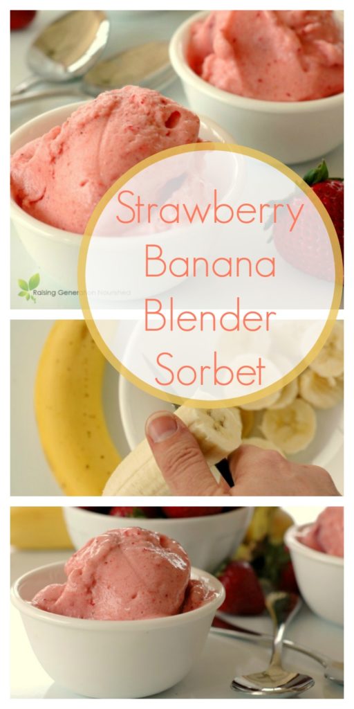 Strawberry Banana Blender Sorbet