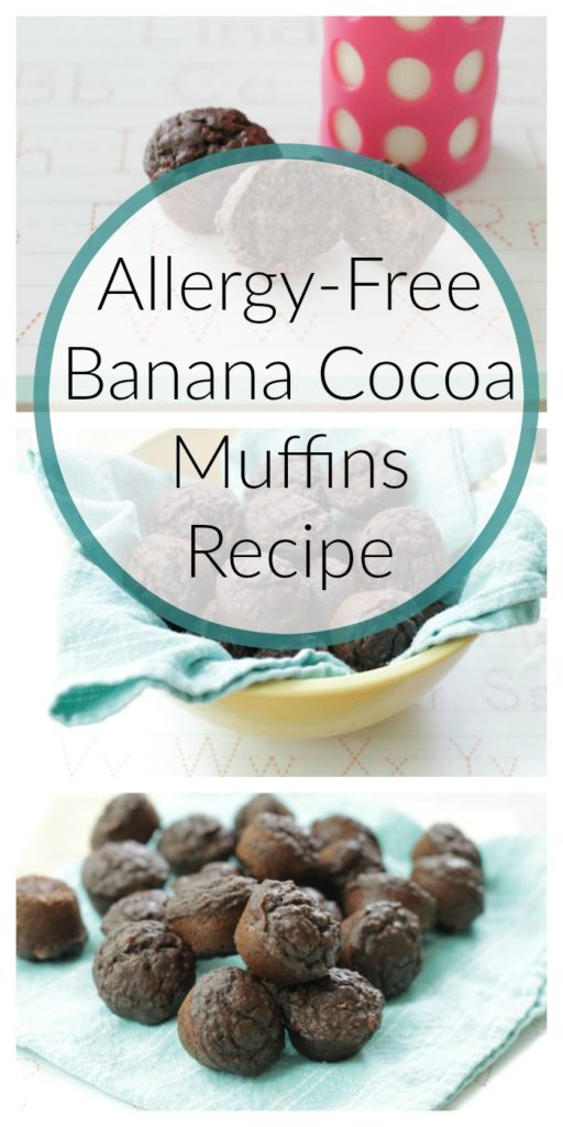 allergy free banana cocoa muffins recipe
