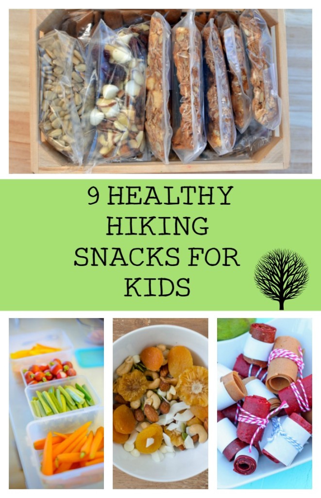 healthy snacks for camping trips