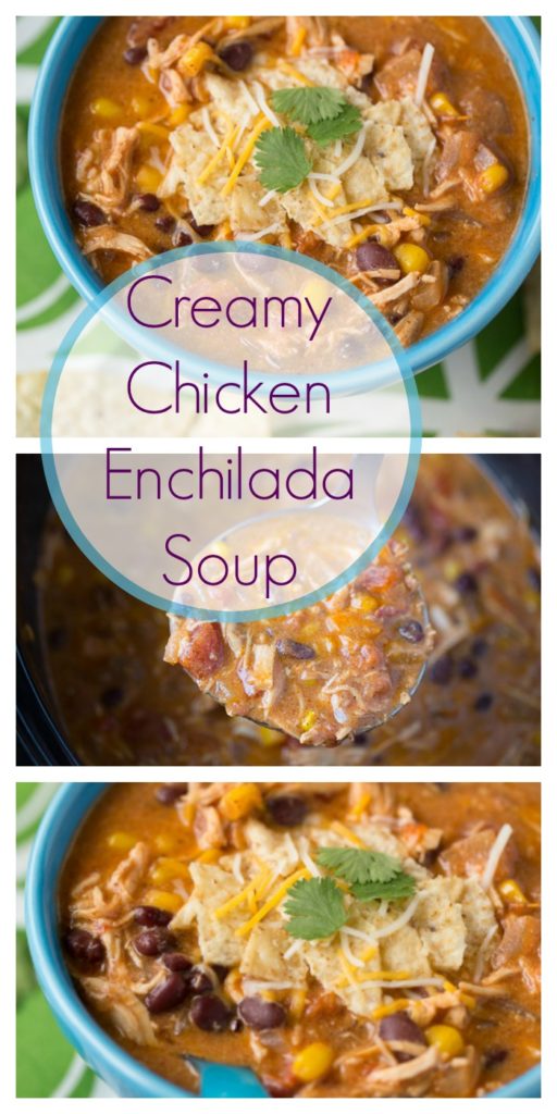 Creamy Chicken Enchilada Soup