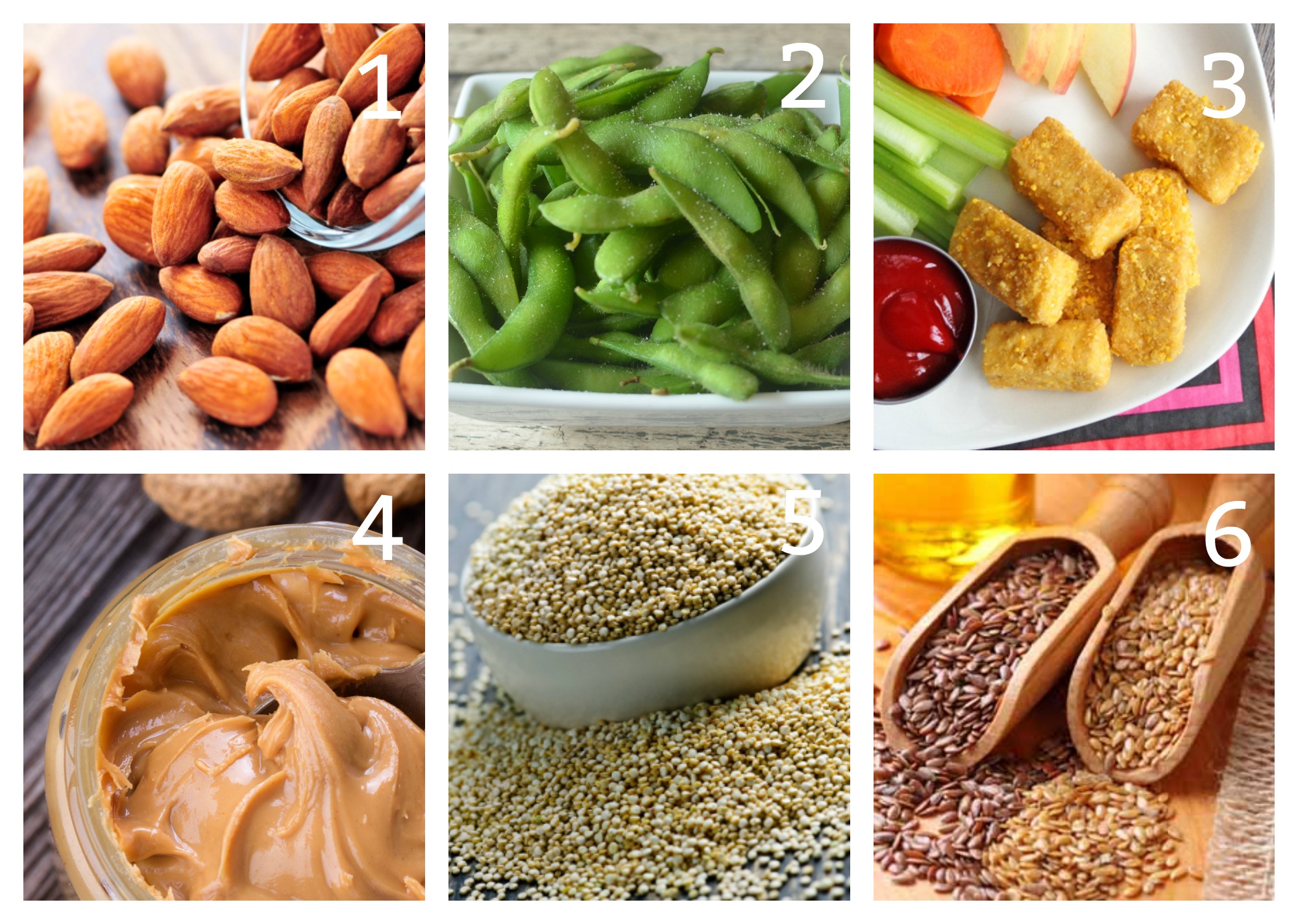 Family and Parenting: 12 Non-Meat Protein Sources for Kids