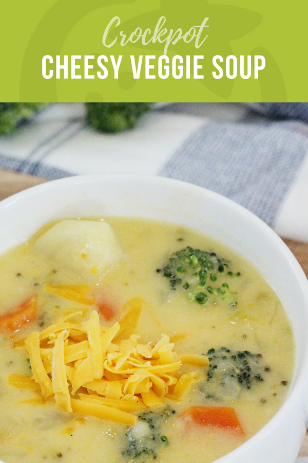 crockpot cheesy vegetable soup